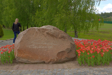 Similar image 22281969