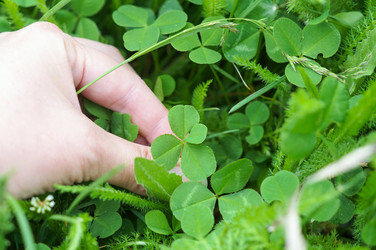 Similar image 22281563