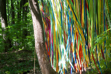 Similar image 22284265