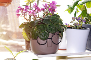 Similar image 22284266