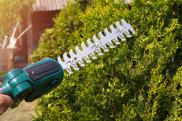 Similar image 22281565