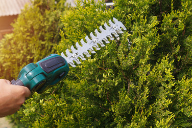 Similar image 22281566