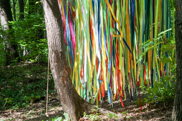 Similar image 22284267