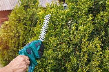 Similar image 22281567