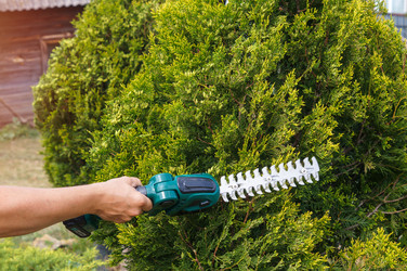 Similar image 22281569