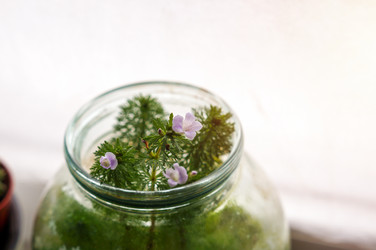 Similar image 22281975