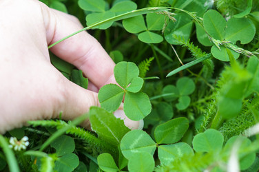 Similar image 22281571