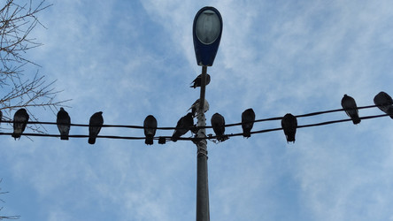 Similar image 22282449