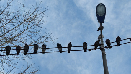 Similar image 22282450