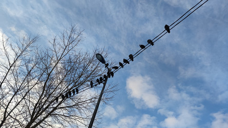 Similar image 22282451