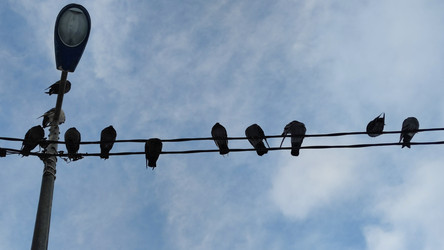 Similar image 22282452