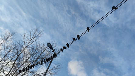 Similar image 22282453