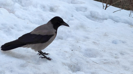 Similar image 22282454