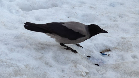 Similar image 22282456