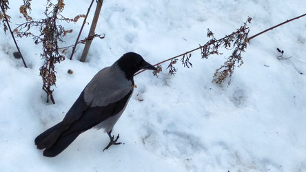 Similar image 22282457