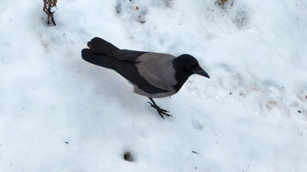 Similar image 22282458