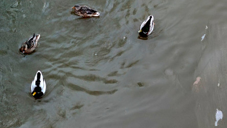 Similar image 22282459