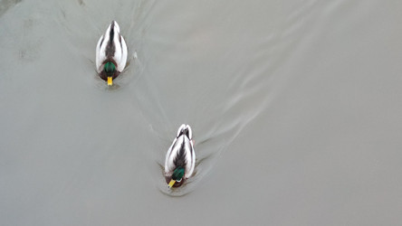 Similar image 22282460