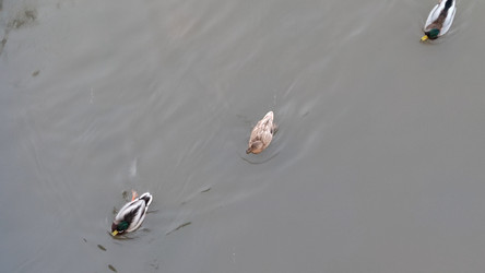 Similar image 22282461