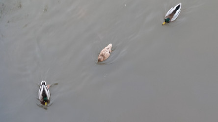 Similar image 22282462