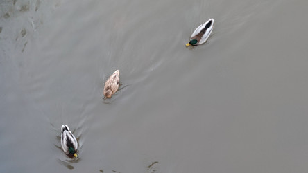 Similar image 22282463