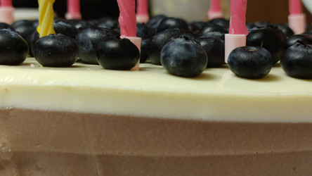 Similar image 22282464