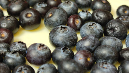 Similar image 22282467