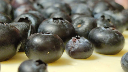 Similar image 22282469