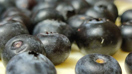 Similar image 22282471