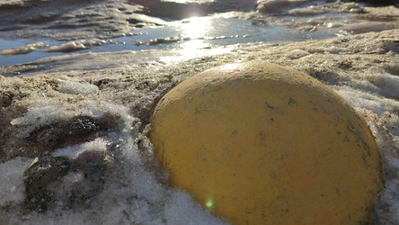 Similar image 22282479