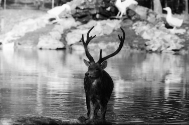 Similar image 22284271