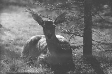 Similar image 22284272