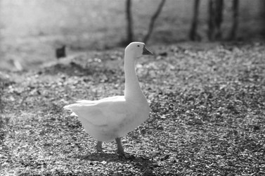 Similar image 22284273