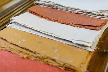 Similar image 22281579