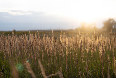 Similar image 22281588