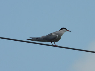 Similar image 22284497