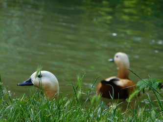 Similar image 22284498