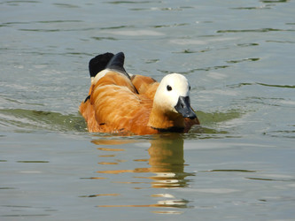 Similar image 22284499