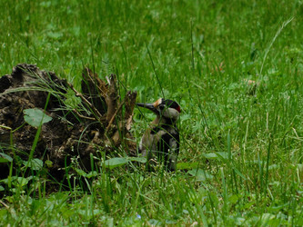 Similar image 22284500