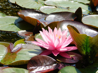 Similar image 22284501