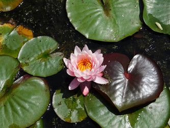 Similar image 22284502