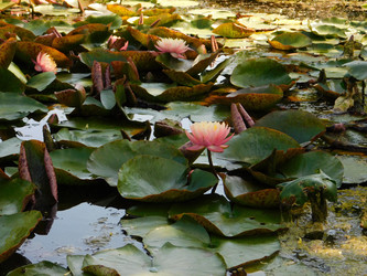 Similar image 22284503