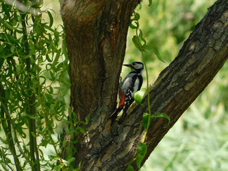 Similar image 22284504