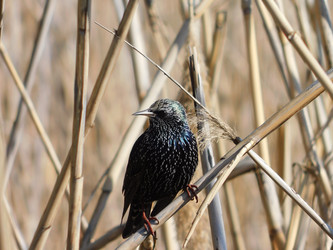 Similar image 22284505