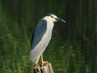 Similar image 22284506