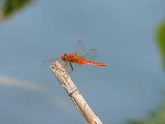 Similar image 22284507