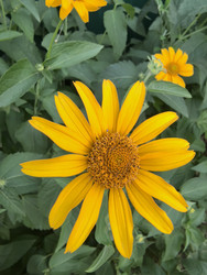 Similar image 22284509