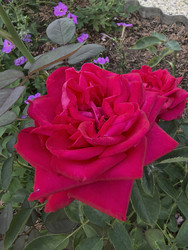 Similar image 22284511