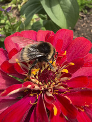 Similar image 22284513