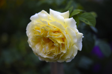 Similar image 22281710